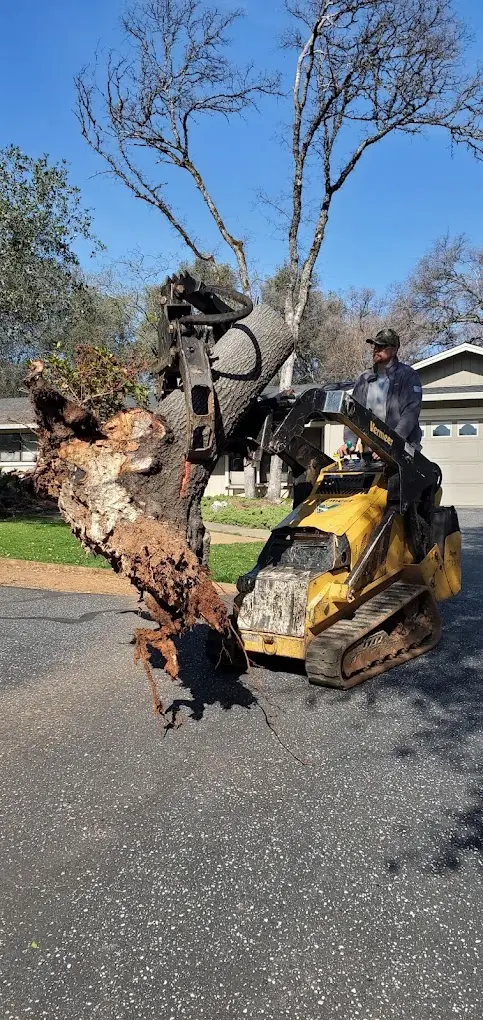 Barker Tree Services